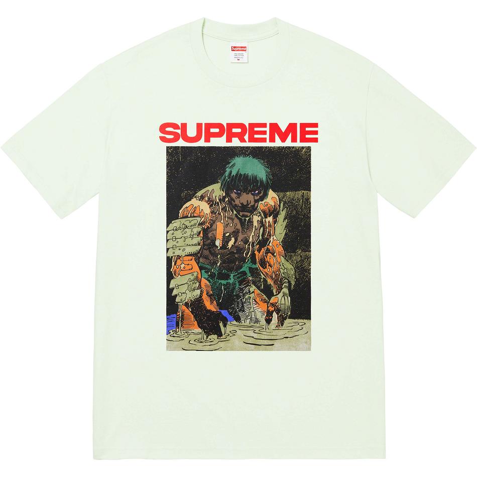 Supreme Ronin Tee T-shirts Mintfarben | CH238KI