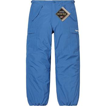 Supreme GORE-TEX PACLITE® Cargo Pant Hose Blau | CH411OR