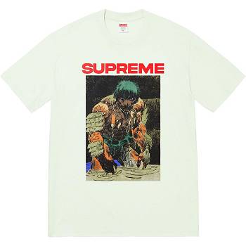 Supreme Ronin Tee T-shirts Mintfarben | CH238KI