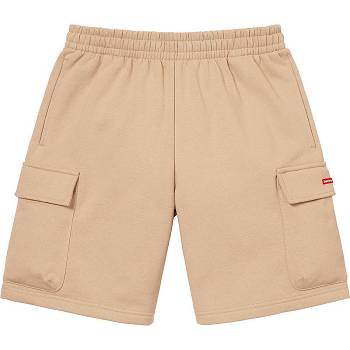 Supreme Small Box Baggy Cargo Sweat Kurze Hose Braun | CH366HK